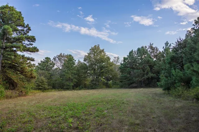 $1,560,000 | 0 County Road 4221, Laneville, TX 75667