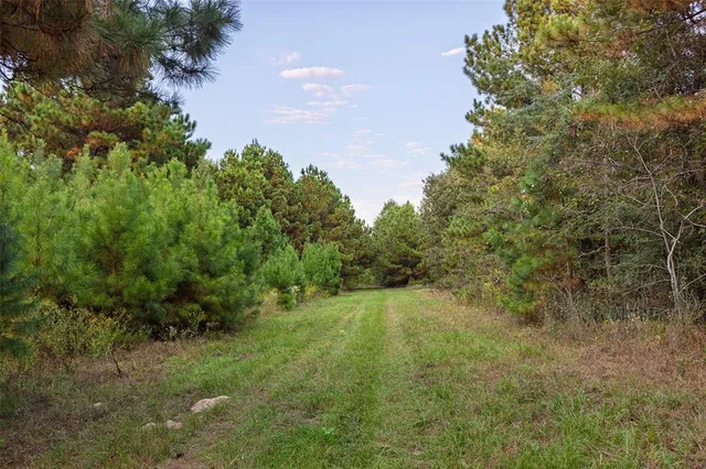 $1,560,000 | 0 County Road 4221, Laneville, TX 75667