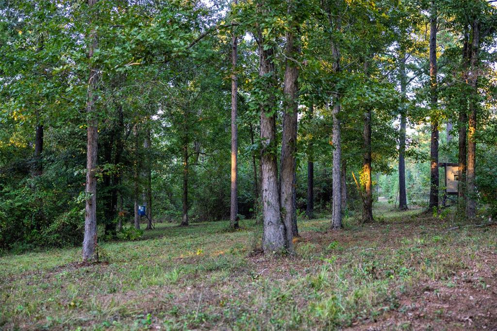 0 County Road 4221 Laneville, TX 75667 - Photo 27 of 39