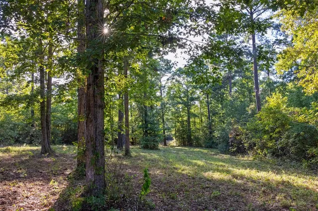 $1,560,000 | 0 County Road 4221, Laneville, TX 75667