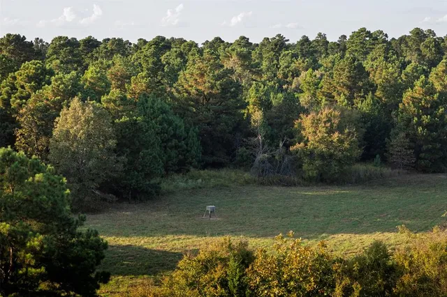 $1,560,000 | 0 County Road 4221, Laneville, TX 75667