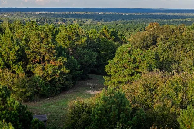 $1,560,000 | 0 County Road 4221, Laneville, TX 75667