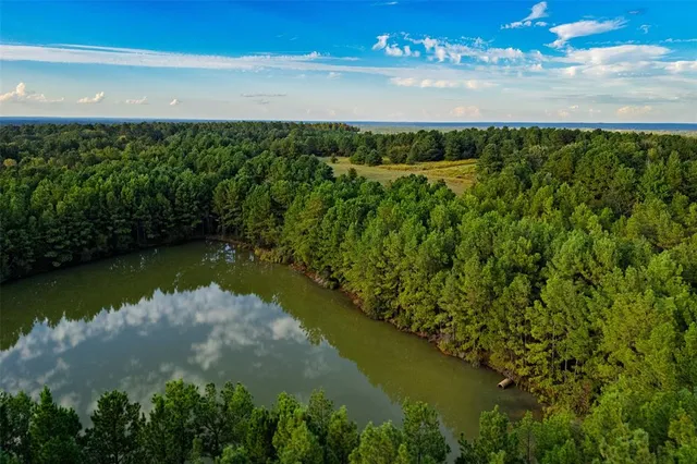 $1,560,000 | 0 County Road 4221, Laneville, TX 75667