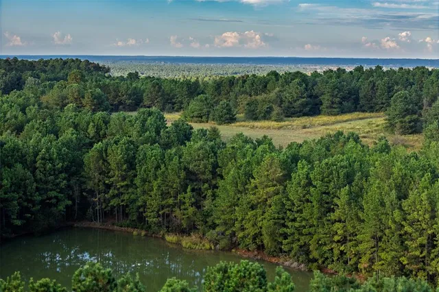 $1,560,000 | 0 County Road 4221, Laneville, TX 75667