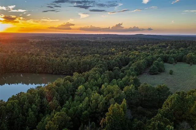 $1,560,000 | 0 County Road 4221, Laneville, TX 75667