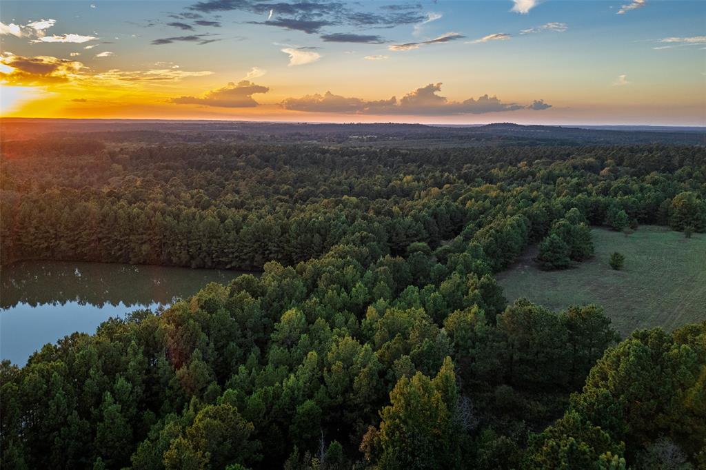0 County Road 4221 Laneville, TX 75667 - Photo 35 of 39
