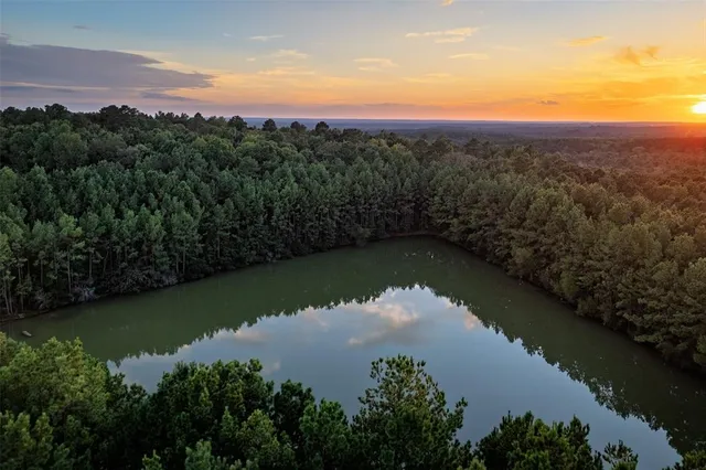 $1,560,000 | 0 County Road 4221, Laneville, TX 75667