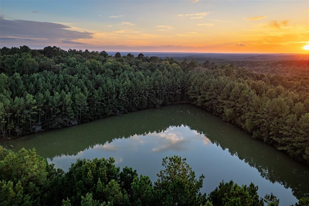 0 County Road 4221 Laneville, TX 75667 - Photo 36 of 39