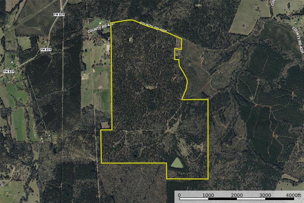 0 County Road 4221 Laneville, TX 75667 - Photo 38 of 39