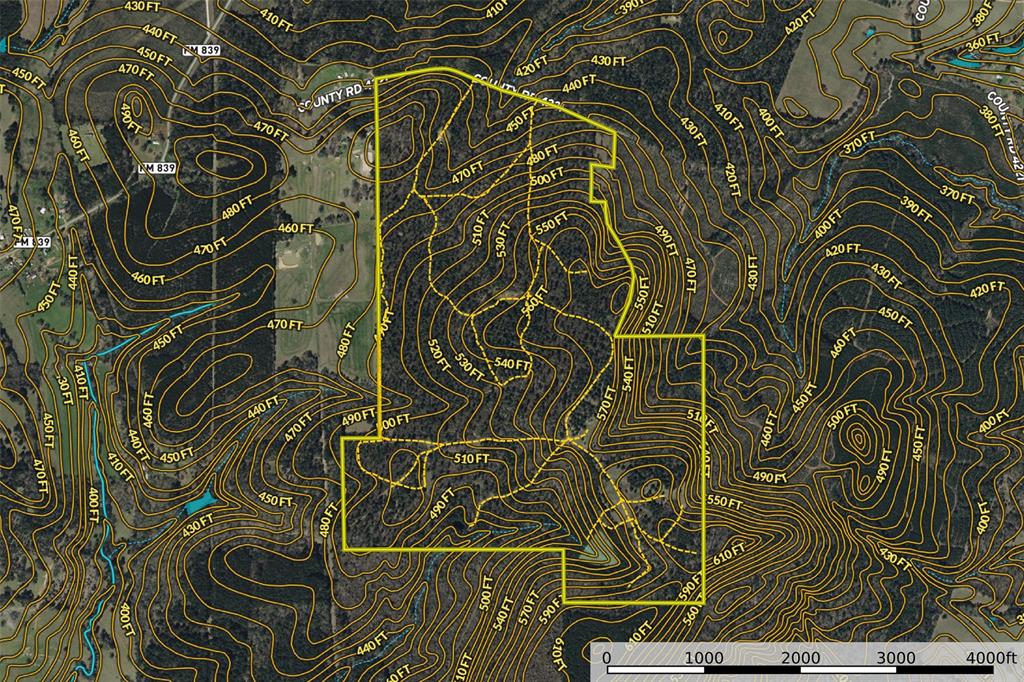 0 County Road 4221 Laneville, TX 75667 - Photo 39 of 39