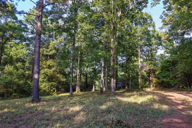 $1,560,000 | 0 County Road 4221, Laneville, TX 75667