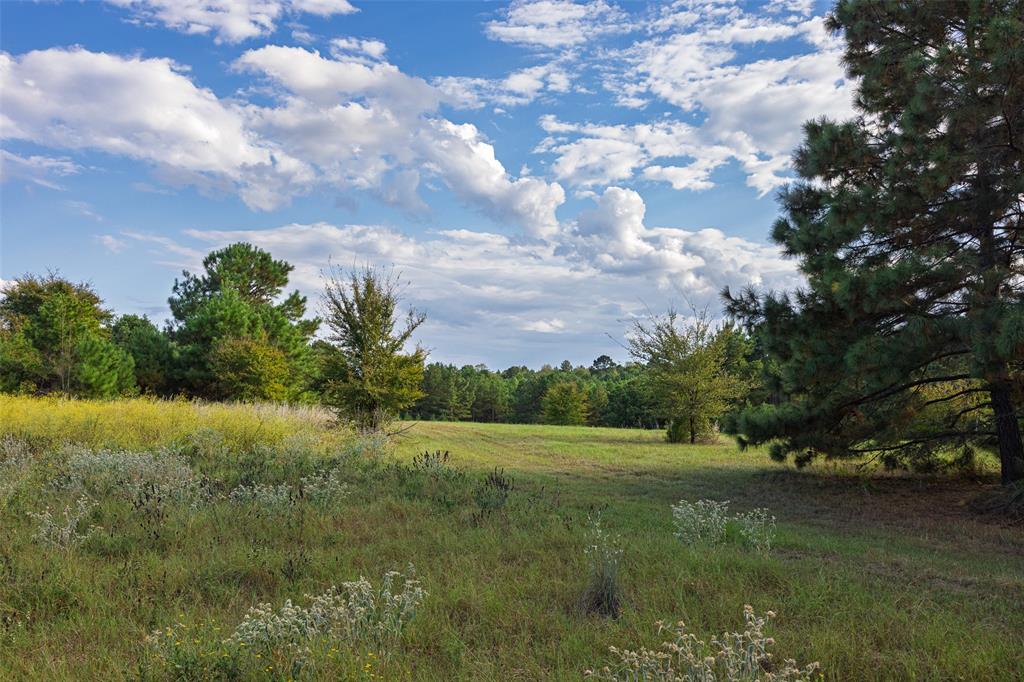 0 County Road 4221 Laneville, TX 75667 - Photo 6 of 39
