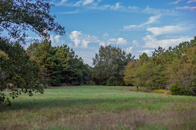 $1,560,000 | 0 County Road 4221, Laneville, TX 75667