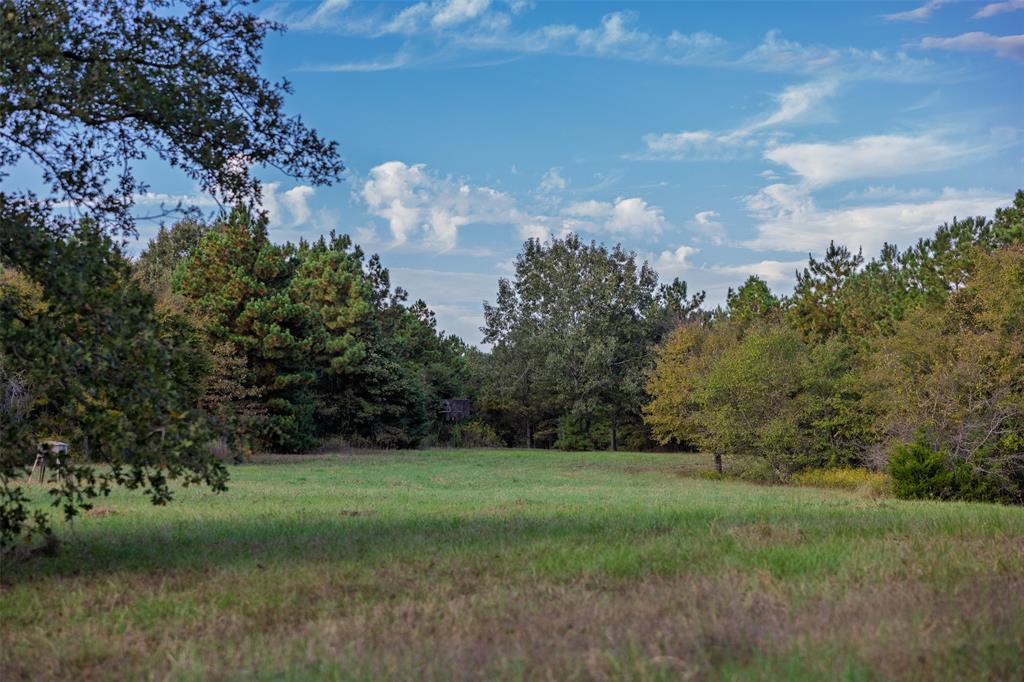 0 County Road 4221 Laneville, TX 75667 - Photo 7 of 39