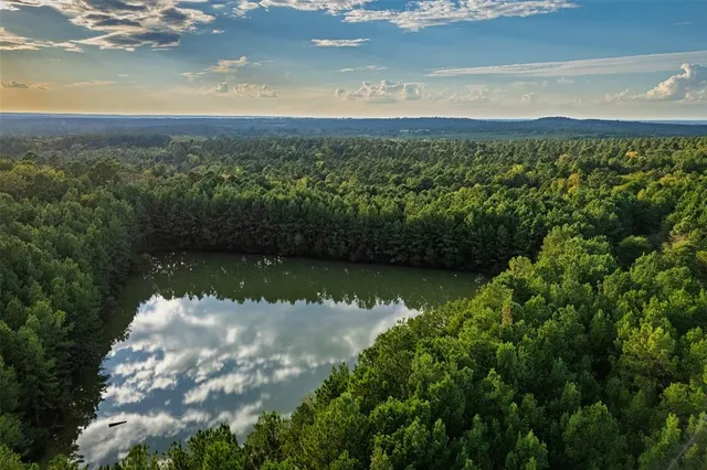 $1,560,000 | 0 County Road 4221, Laneville, TX 75667