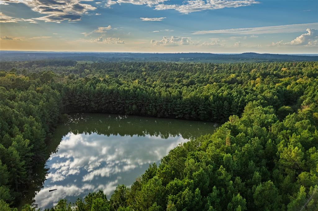 0 County Road 4221 Laneville, TX 75667 - Photo 8 of 39