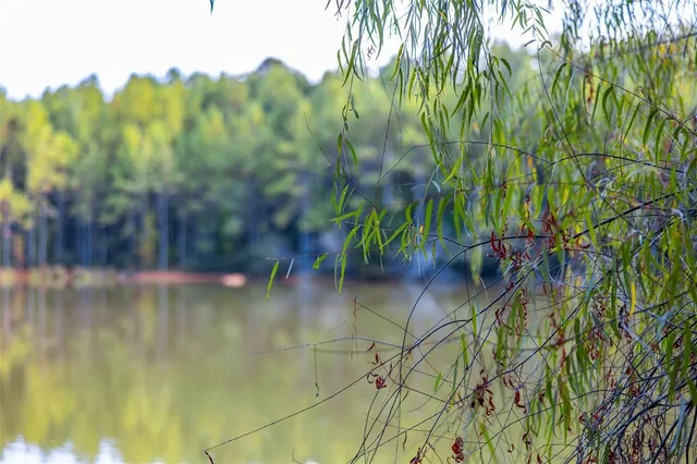 $1,560,000 | 0 County Road 4221, Laneville, TX 75667