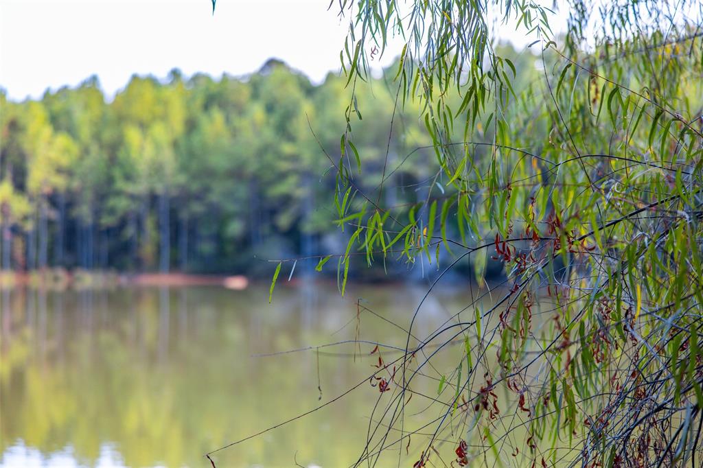 0 County Road 4221 Laneville, TX 75667 - Photo 9 of 39