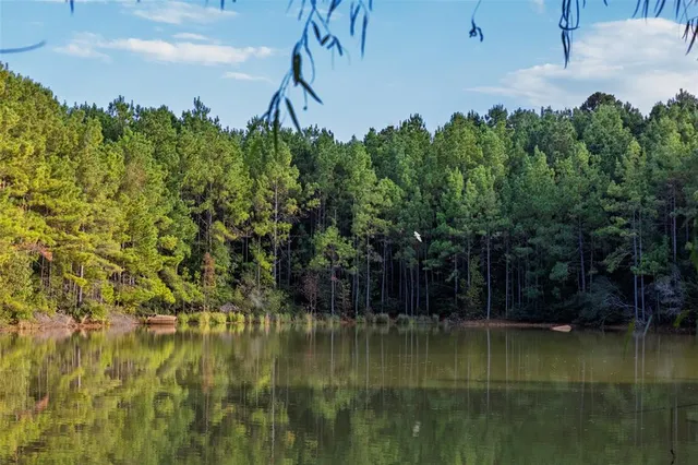 $1,560,000 | 0 County Road 4221, Laneville, TX 75667