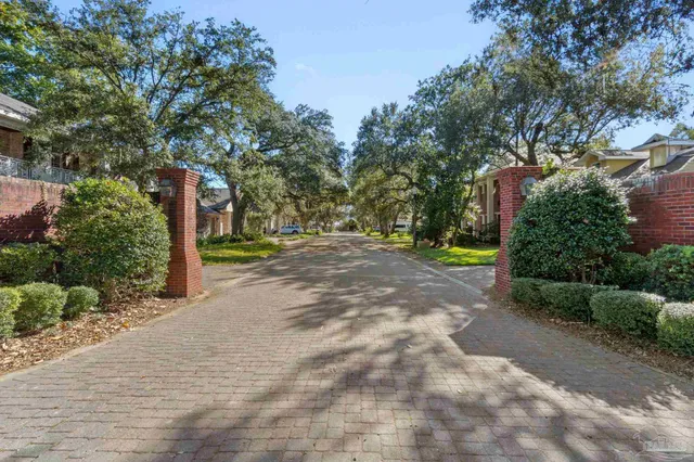 a view of a street with plants and trees