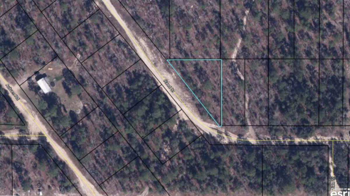 6266 Reed Drive Keystone Heights, FL 32656 - Photo 1 of 2 medium142png