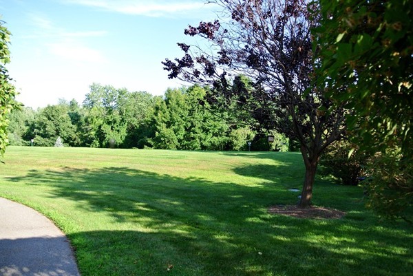 196 Swanson Road, Unit 506 Boxborough, MA 01719 - Photo 8 of 13