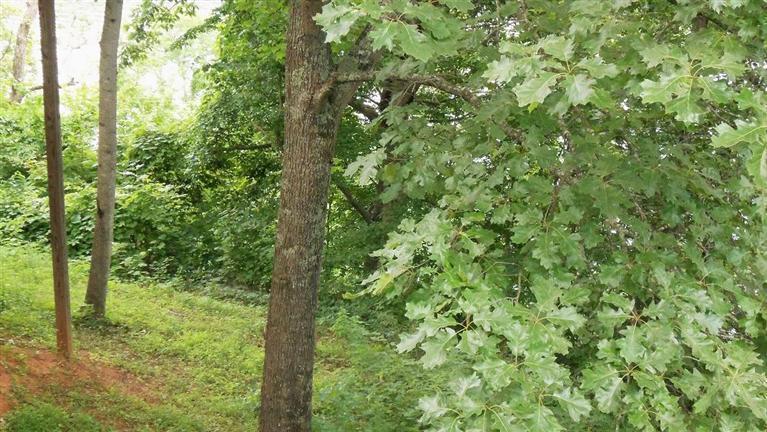 436 Twin Rivers Drive Bronston, KY 42518 - Photo 12 of 13 Additional Photo