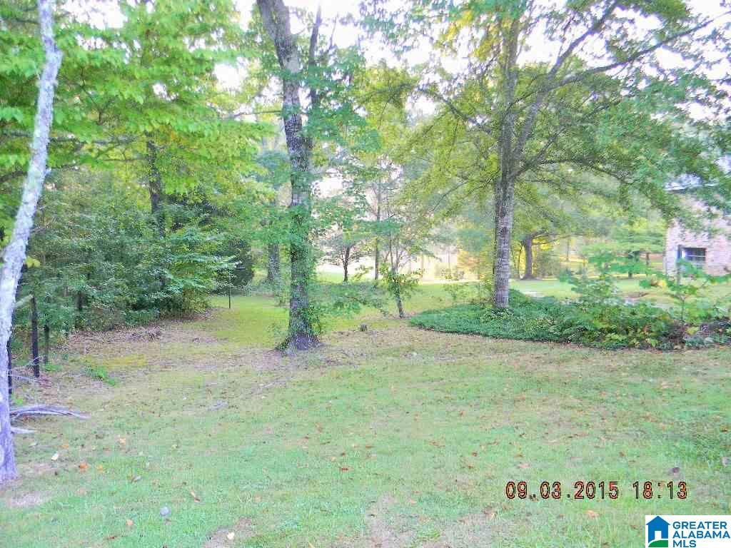 252 County Road 68 Clanton, AL 35046 - Photo 6 of 11