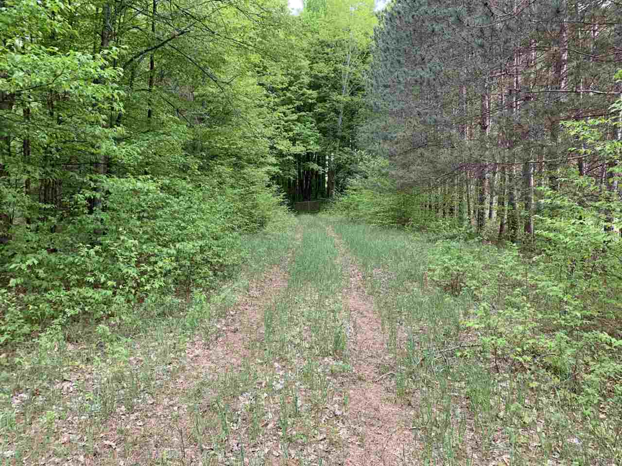 40 South 17 Road Boon, MI 49618 - Photo 32 of 33