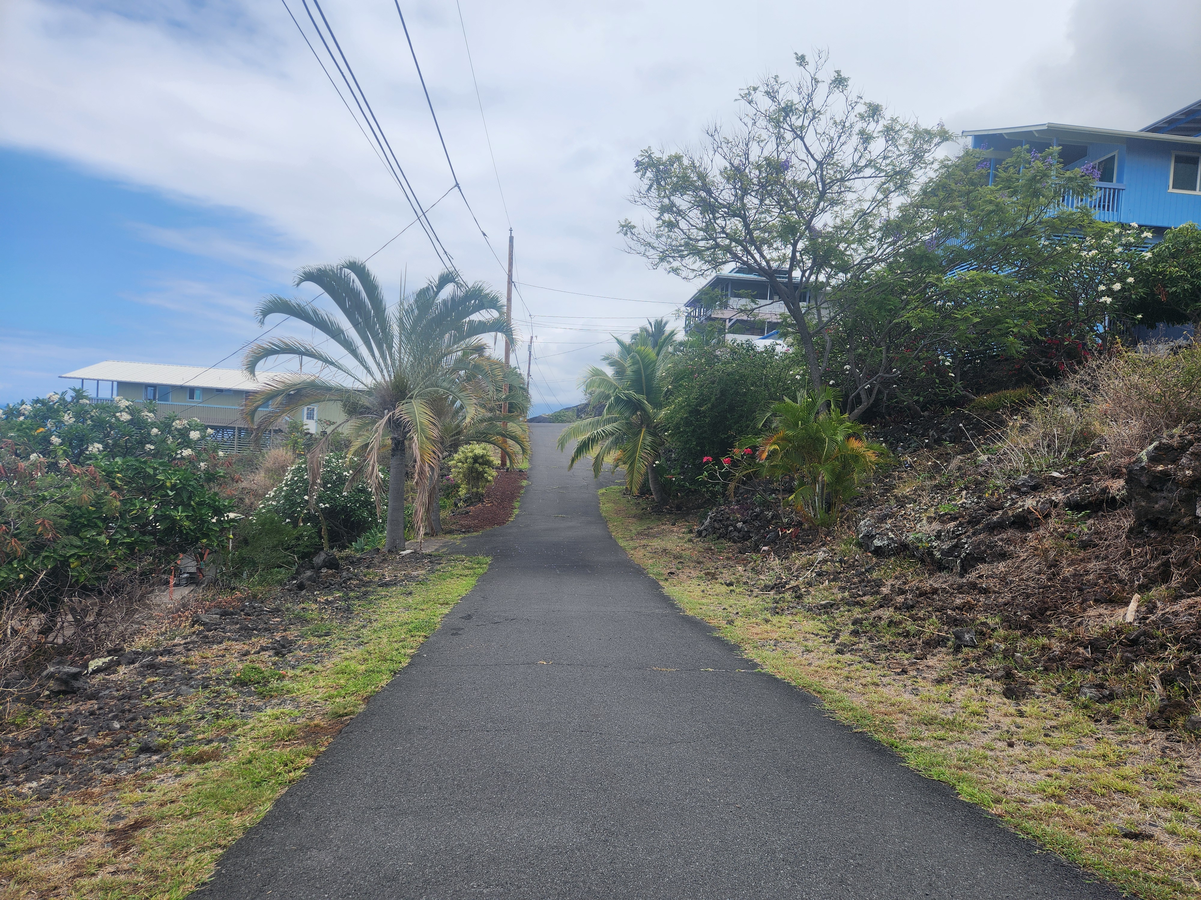 87-3179 Ili Ili Road Captain Cook, HI 96704 - Photo 3 of 9 a view of a pathway with a yard