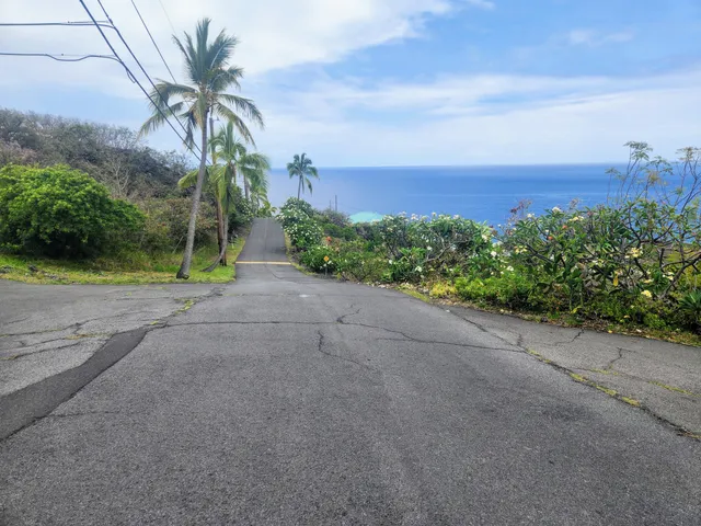 a view of a field with plants and trees in the background
