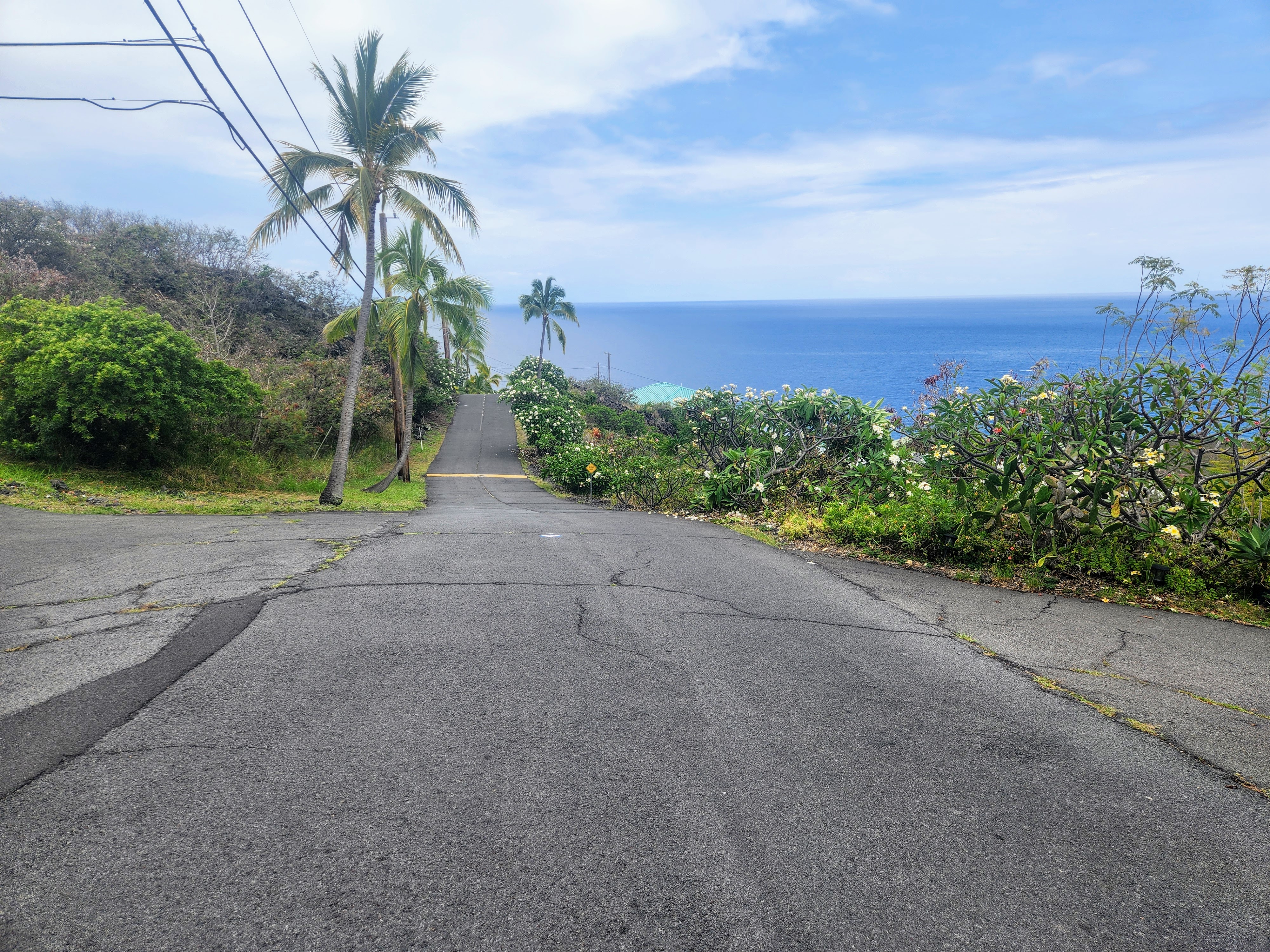 87-3179 Ili Ili Road Captain Cook, HI 96704 - Photo 4 of 9 a view of a field with plants and trees in the background