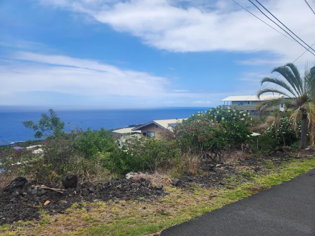 a view of a yard with a house in back