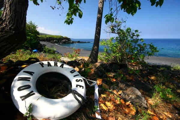 87-3179 Ili Ili Road Captain Cook, HI 96704 - Photo 8 of 9