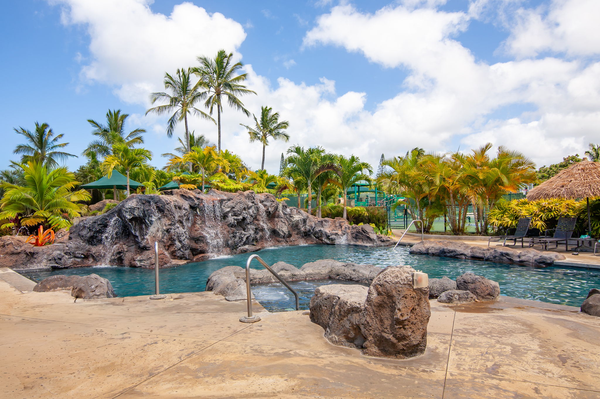 3811 Edward Road, Unit 1206 Princeville, HI 96722 - Photo 25 of 30 a view of a backyard with plants and palm tree