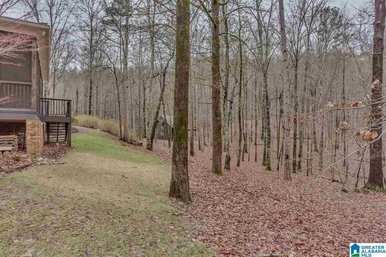 614 Shoal Ridge Drive Leeds, AL 35094 - Photo 44 of 48