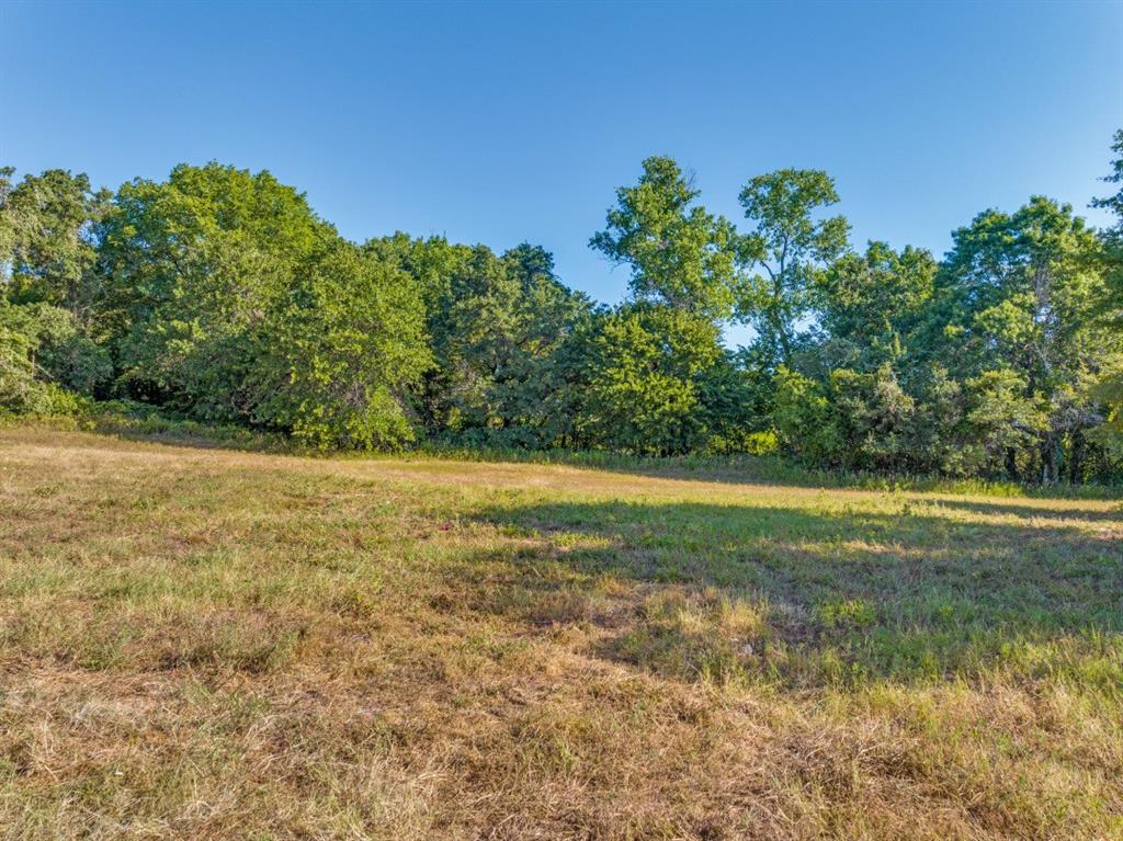 3737 East Highway 199 Springtown, TX 76082 - Photo 8 of 14 View of yard featuring a wooded view