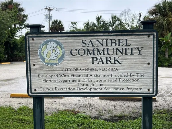 a road view along with trees