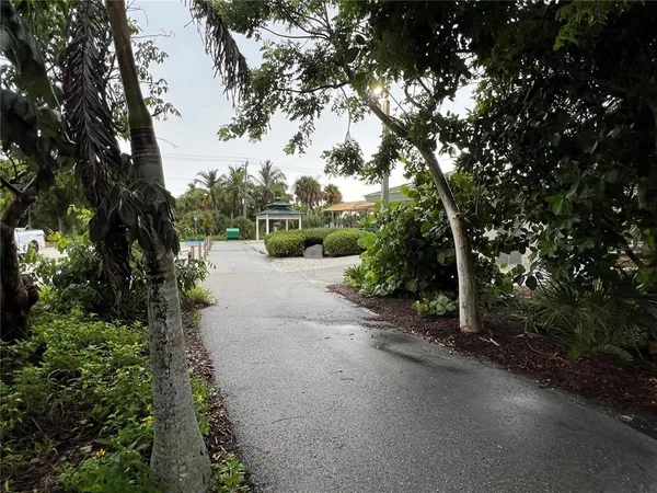 a view of a garden with pathway