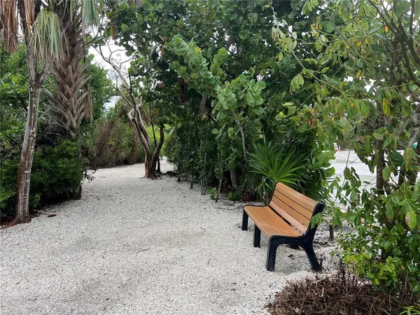 a view of a street with a tree in front of it