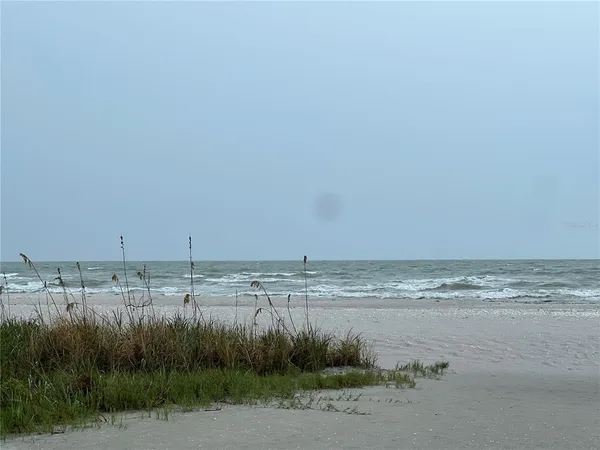 a backyard of a house with palm trees