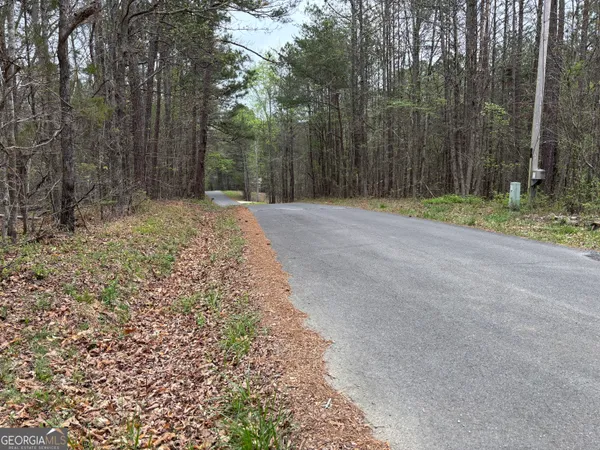 a view of a yard with trees