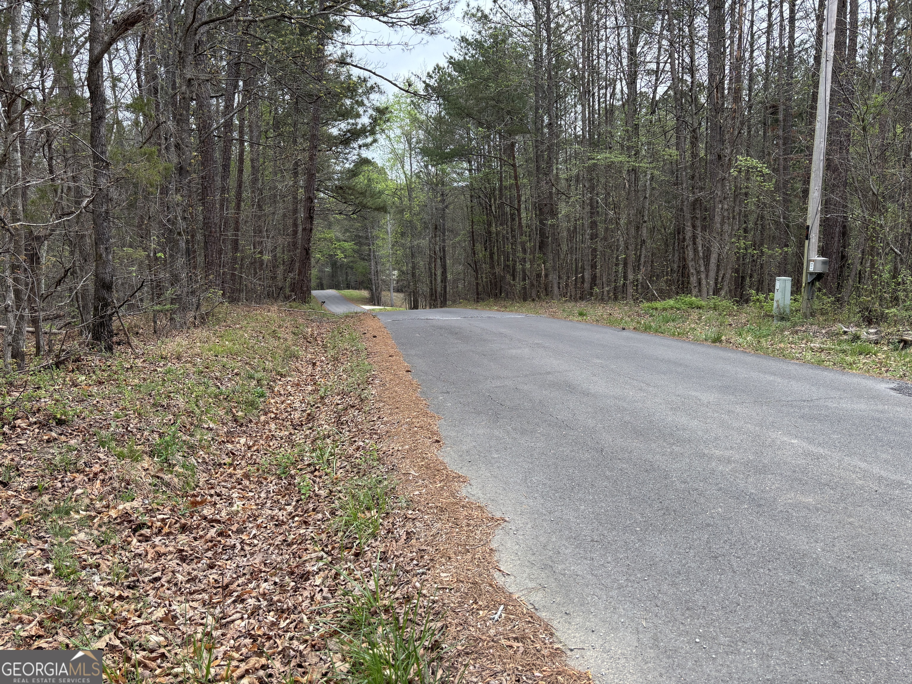 2246 Neal Gap Road Summerville, GA 30747 - Photo 12 of 44