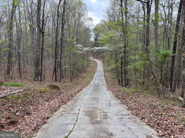 a view of a pathway with a yard