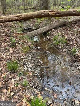 a view of a lake from a yard