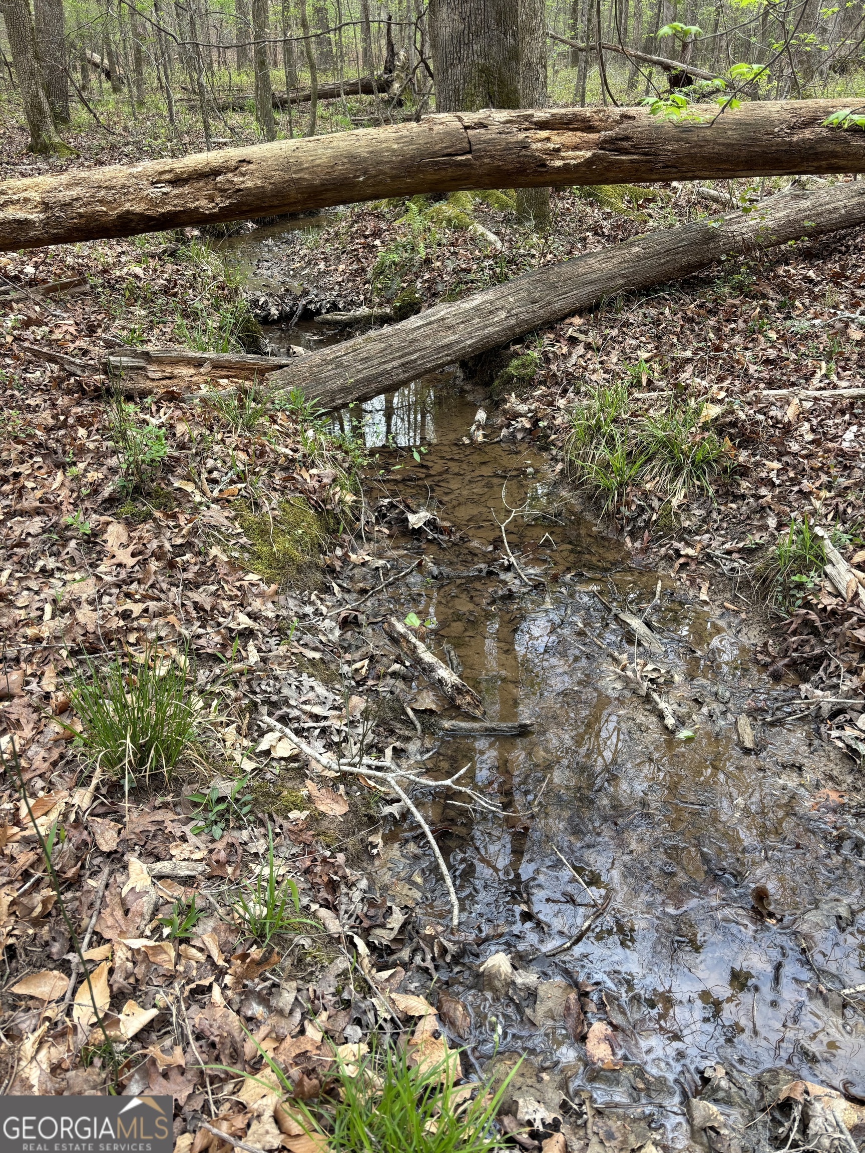 2246 Neal Gap Road Summerville, GA 30747 - Photo 32 of 44