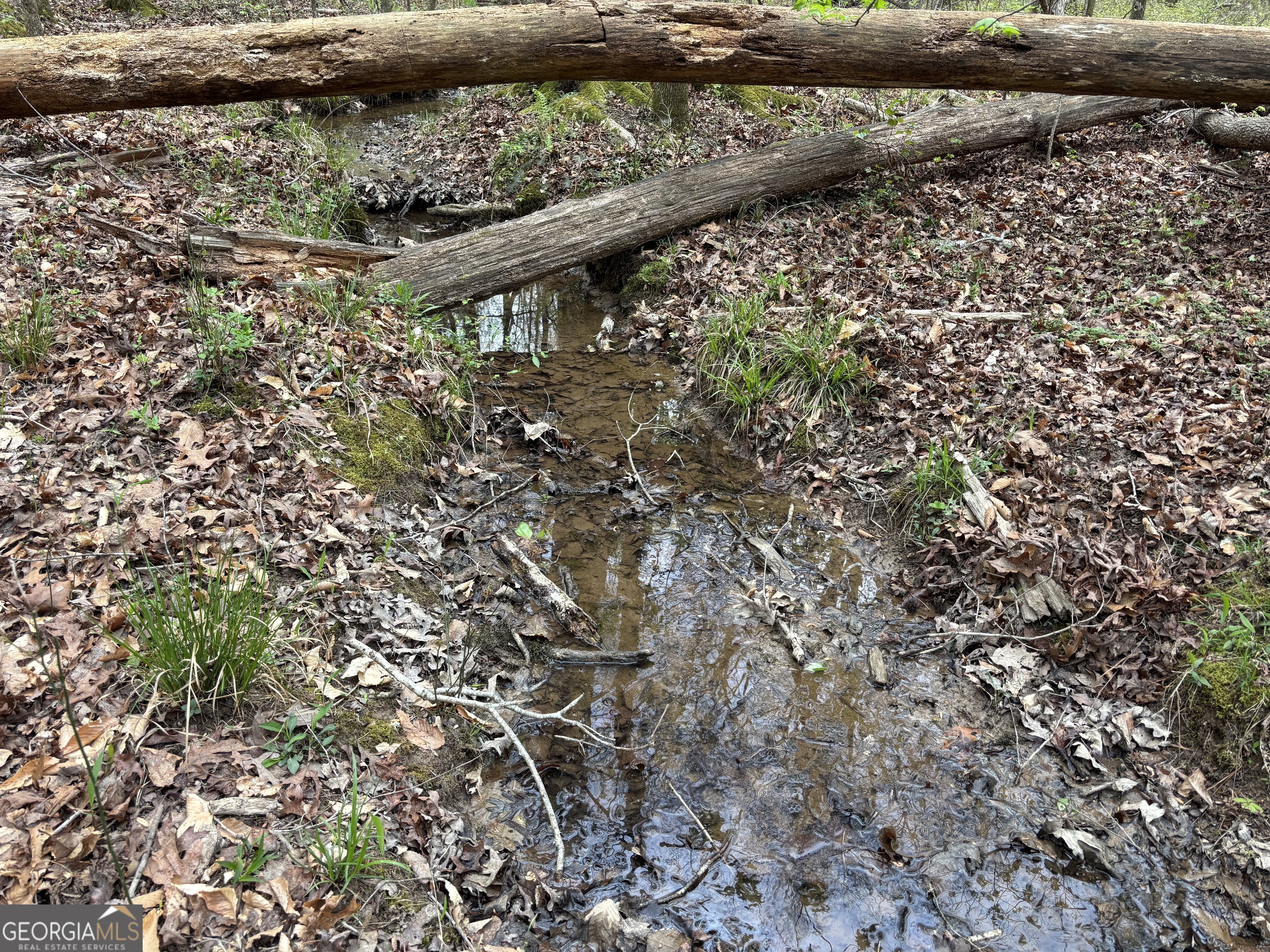 2246 Neal Gap Road Summerville, GA 30747 - Photo 33 of 44