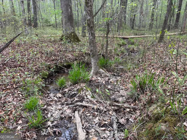 a view of outdoor space and green space