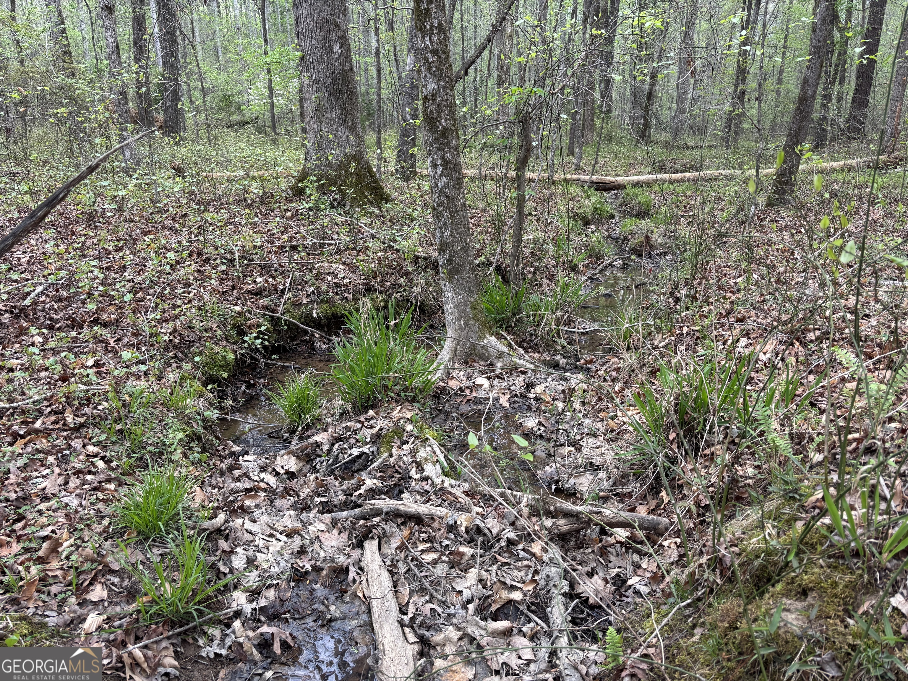 2246 Neal Gap Road Summerville, GA 30747 - Photo 34 of 44