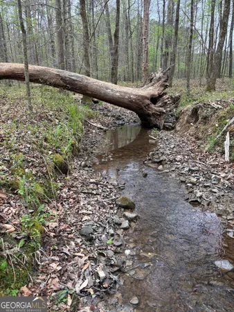 a view of a lake with a bench